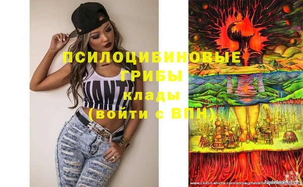 бутик Бородино