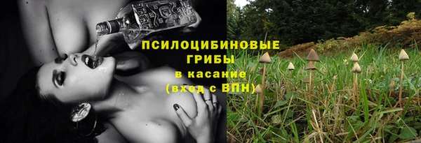 бутик Бородино